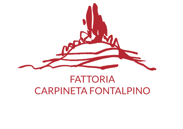 Fattoria Carpineta Fontalpino